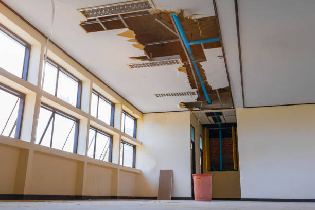 Best Local water damage restoration  in Springfield, MN