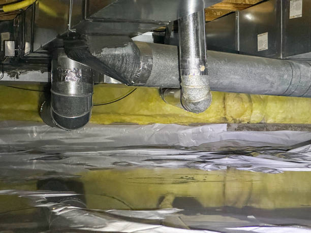 Best Ceiling water damage repair  in Springfield, MN